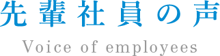 先輩社員の声 Voice of employees